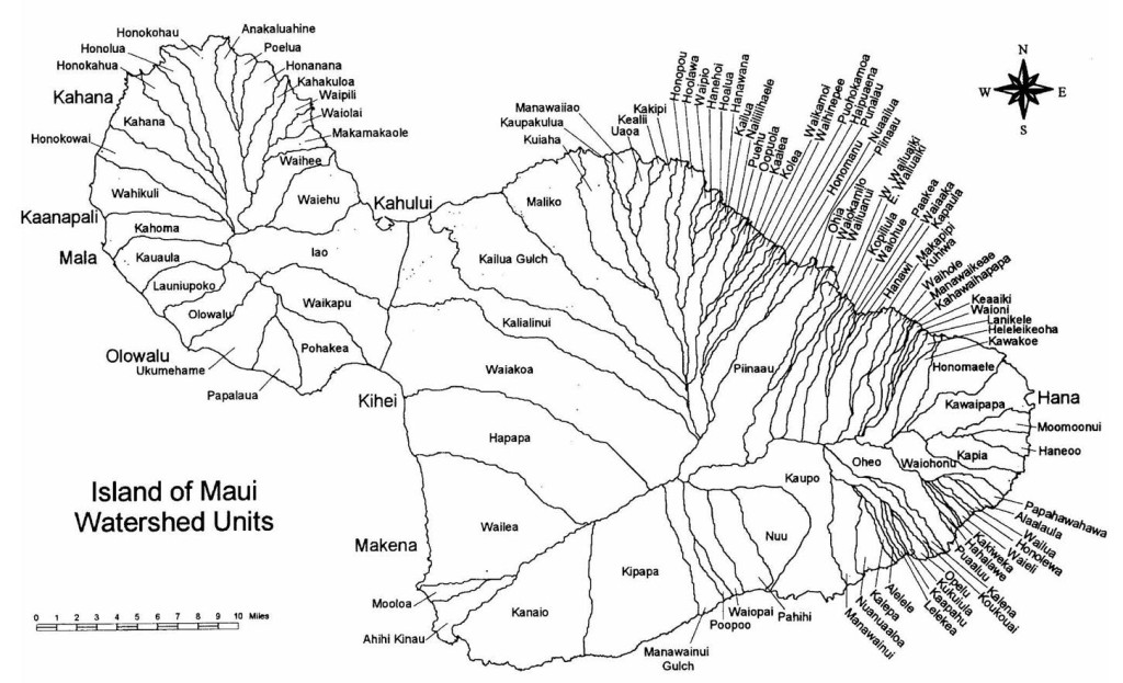 Maui Watershed Units