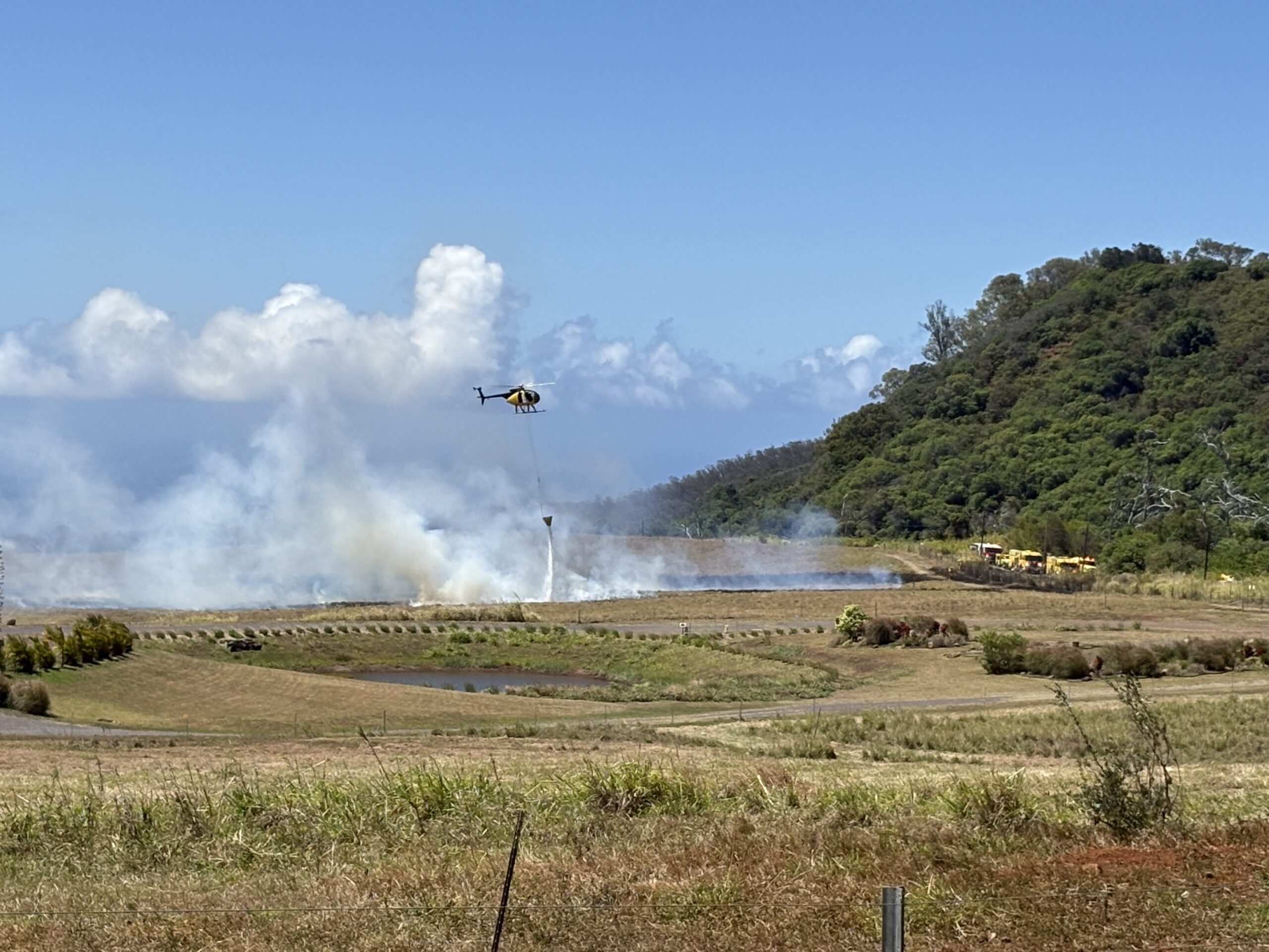 Firefighters fighting a brush fire